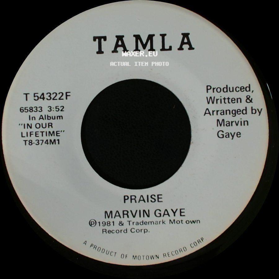 Marvin Gaye - Praise / Praise side B