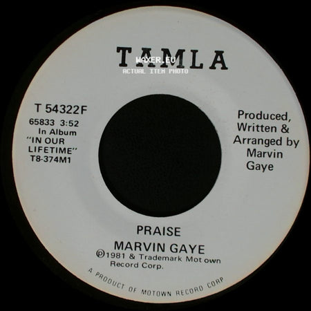 Marvin Gaye - Praise / Praise side B
