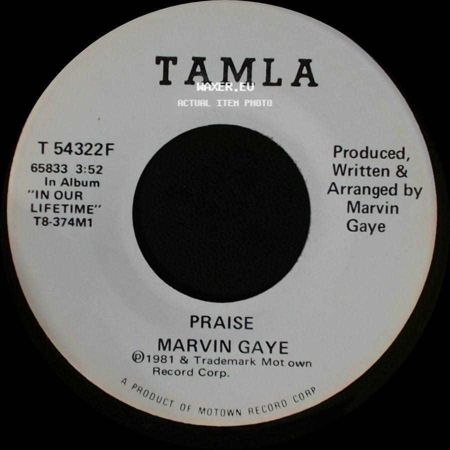 Marvin Gaye - Praise / Praise side B