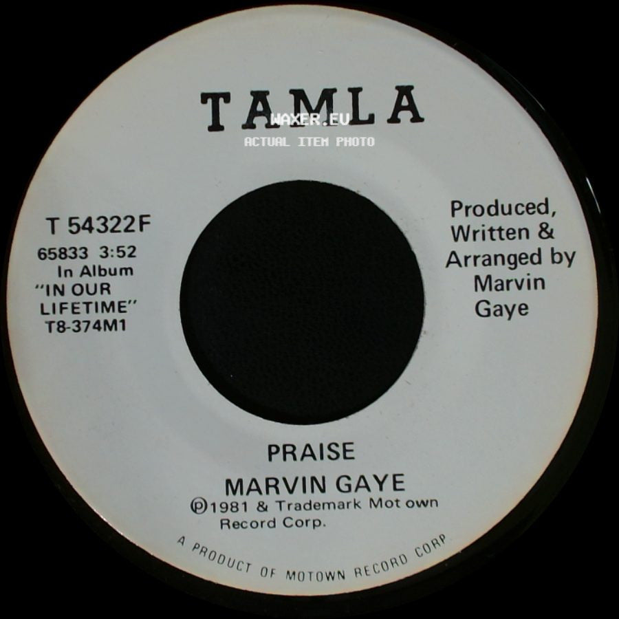 Marvin Gaye - Praise / Praise side B