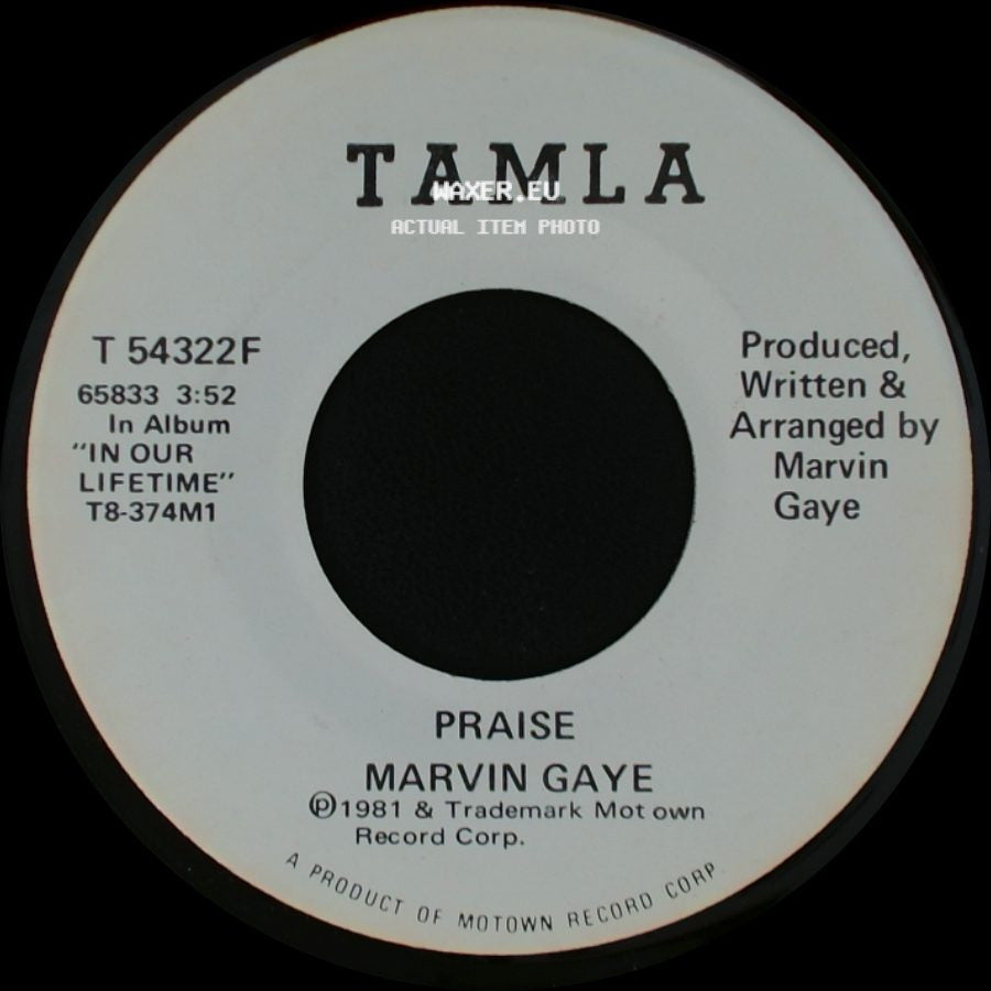 Marvin Gaye - Praise / Praise side B