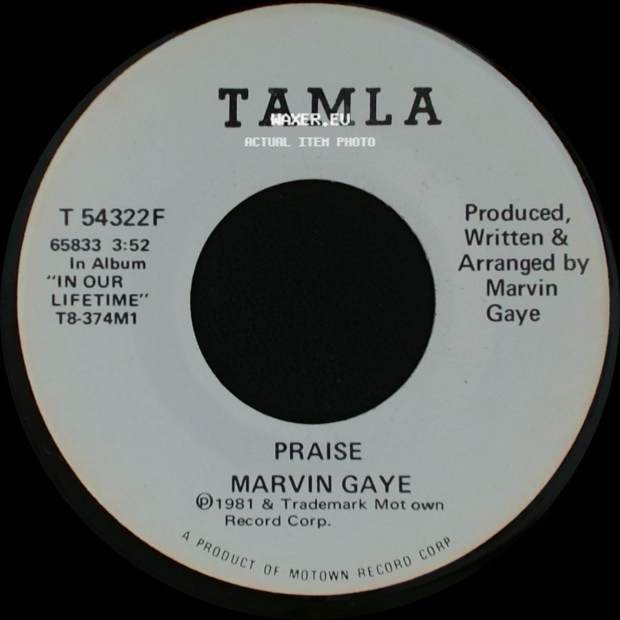 Marvin Gaye - Praise / Praise side B
