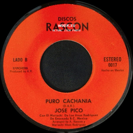 Mariachi De Los Hnos Rodriguez / Jose Pico - Adios Luis M. Moreno / Puro Cachania side B