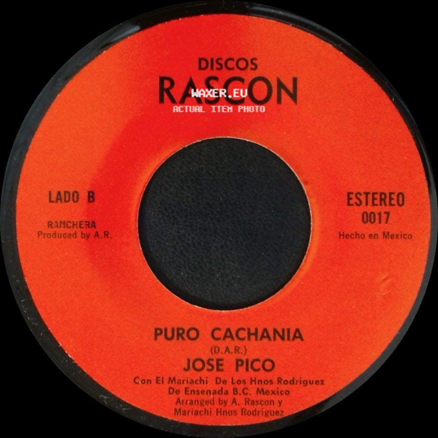 Mariachi De Los Hnos Rodriguez / Jose Pico - Adios Luis M. Moreno / Puro Cachania side B