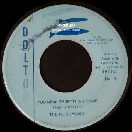 The Fleetwoods - You Mean Everything To Me / Mr. Blue side A