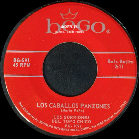 Los Caballos Panzones / Los Gorriones Del Topo Chico - Los Gorriones Del Topo Chico / Labios De Coral side A