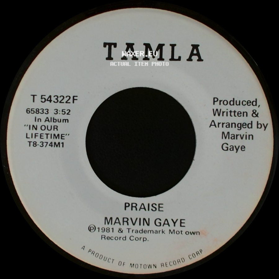 Marvin Gaye - Praise / Praise side B