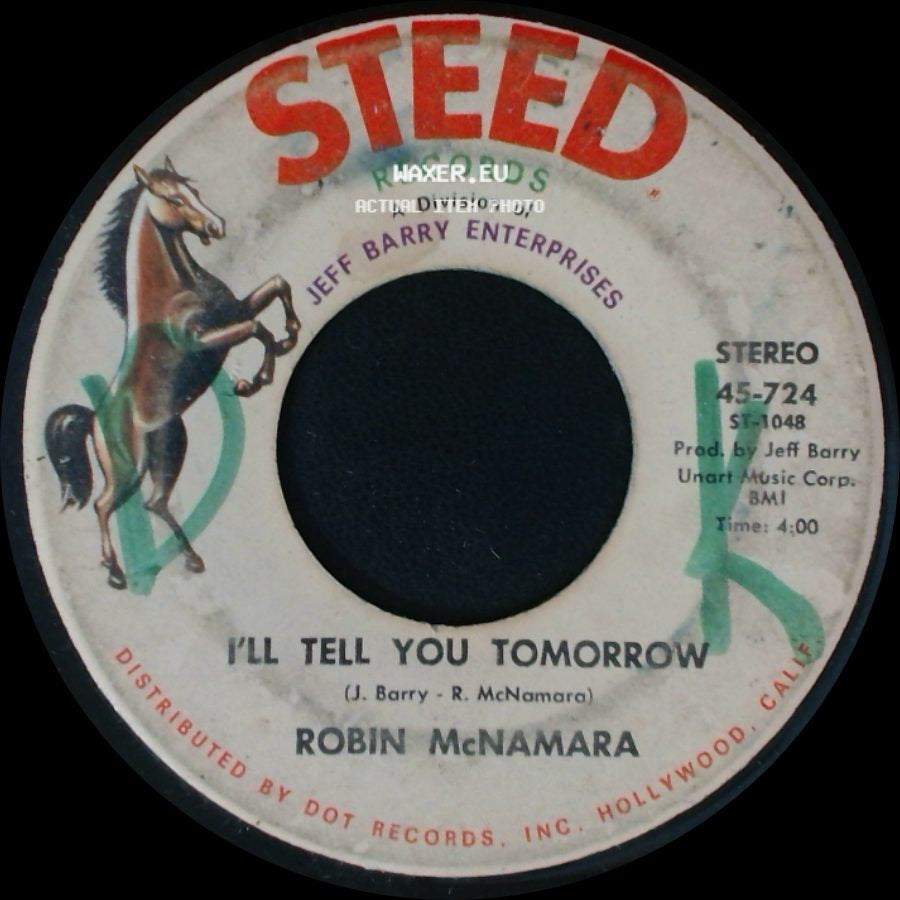 Robin Mcnamara - I'll Tell You Tomorrow / Lay A Little Lovin' On Me side A