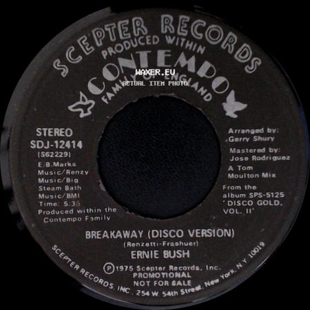 Ernie Bush - Breakaway (Disco Version) / Breakaway side A