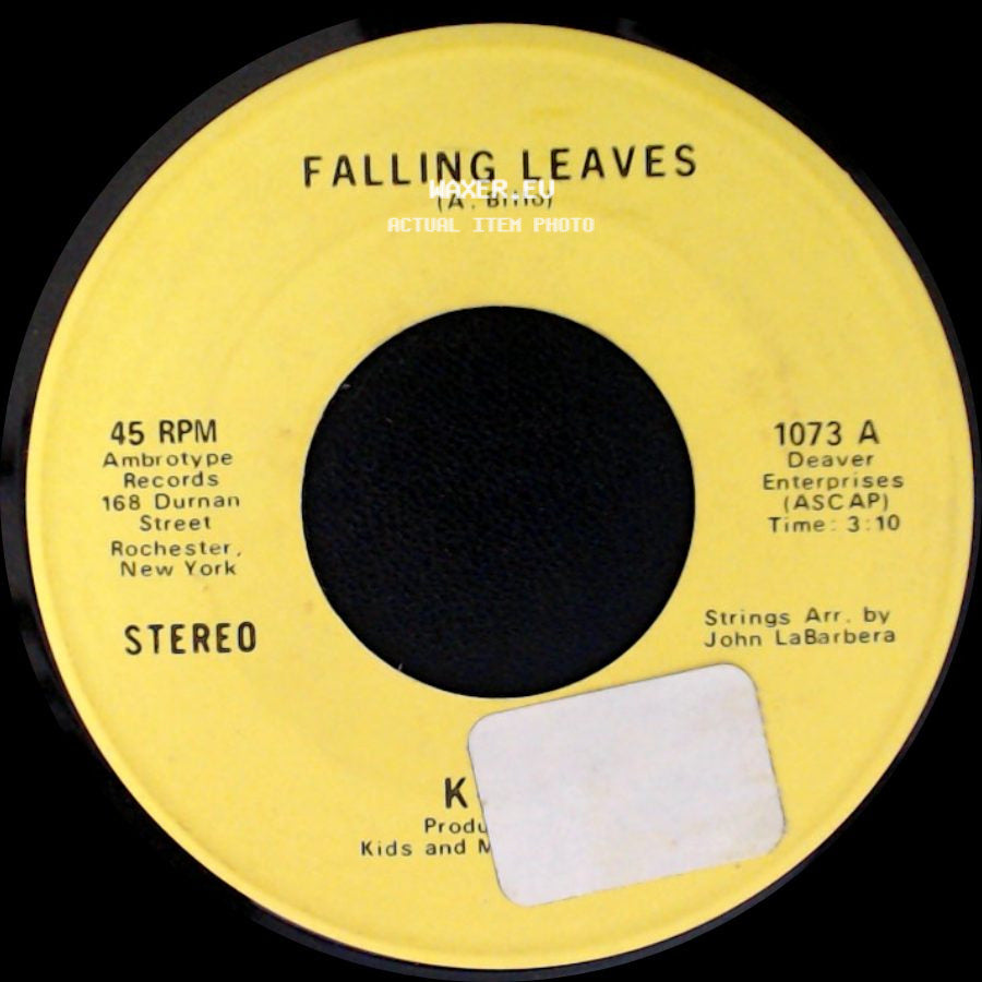 Kids - Falling Leaves / Fifi side A