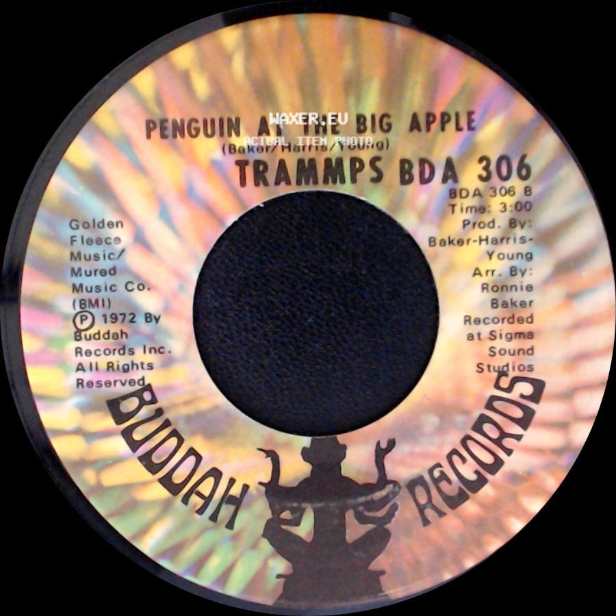 Trammps - Zing Went The Strings Of My Heart / Penguin At The Big Apple side B