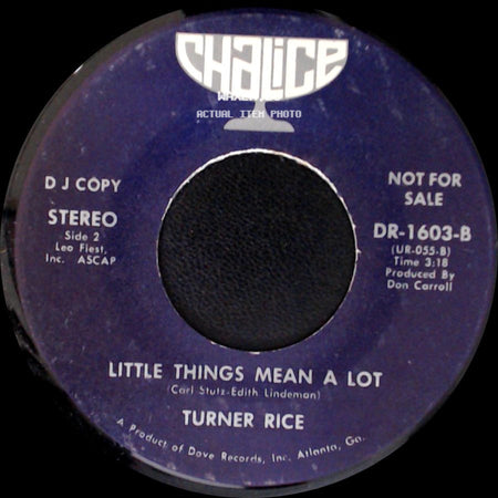 Turner Rice - Shelter / Little Things Mean A Lot side B