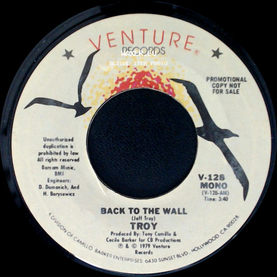 Troy - Back To The Wall / Back To The Wall side A