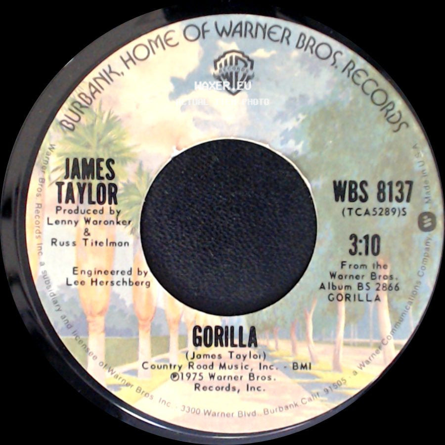 James Taylor - Gorilla / Mexico side A