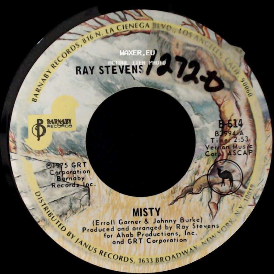 Ray Stevens - Misty / Sunshine side A