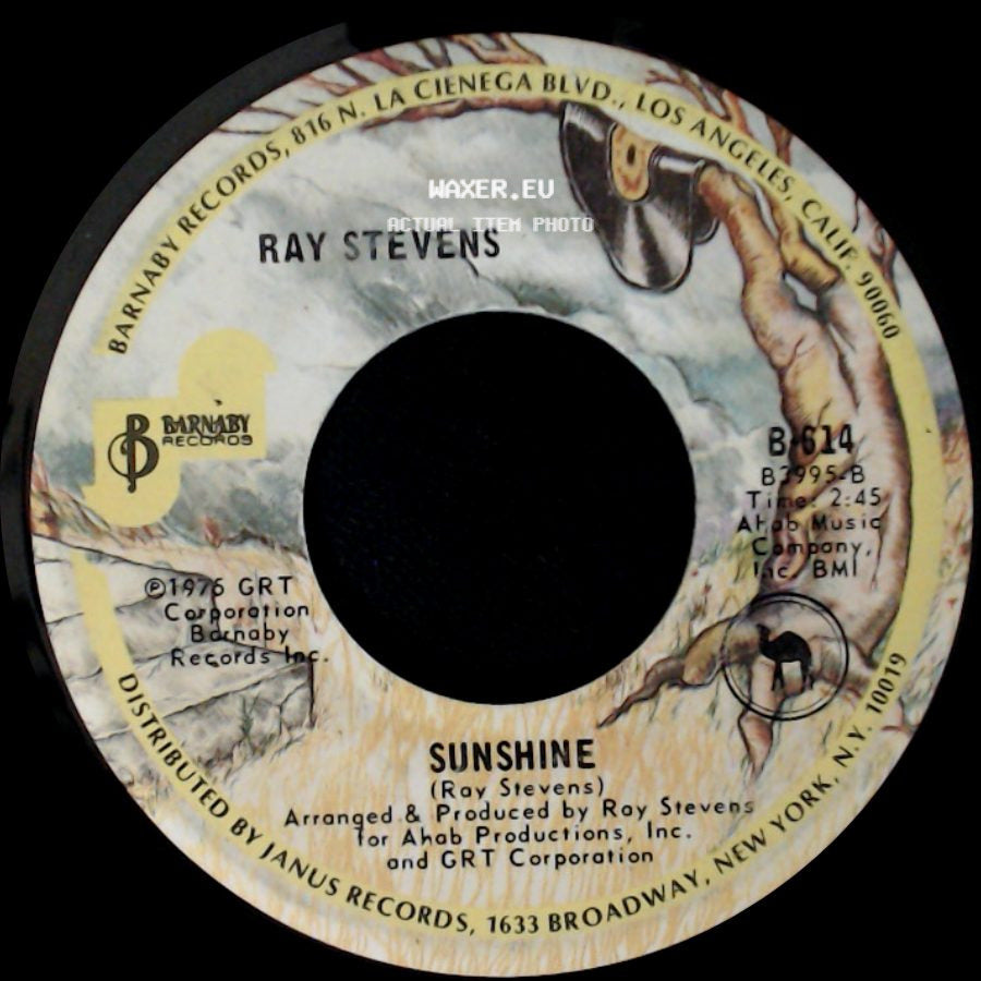 Ray Stevens - Misty / Sunshine side B