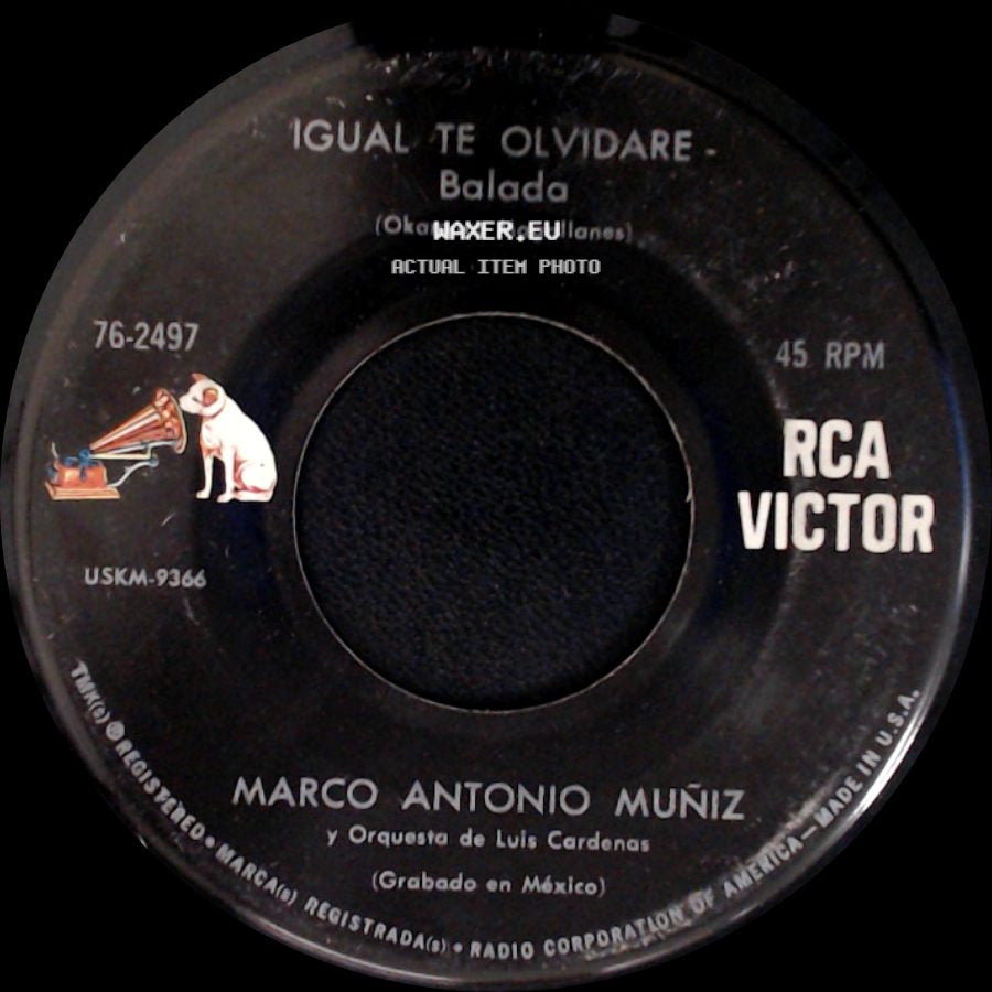 Marco Antonio Muñiz / Marco Antonio Muñiz Y Orquesta De Luis Cardenas - Igual Te Olvidare - Balada / Cierra Los Ojos side A