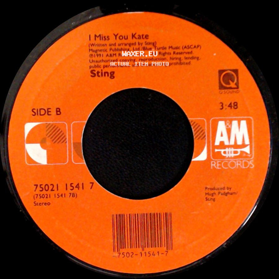 Sting - All This Time / I Miss You Kate side B