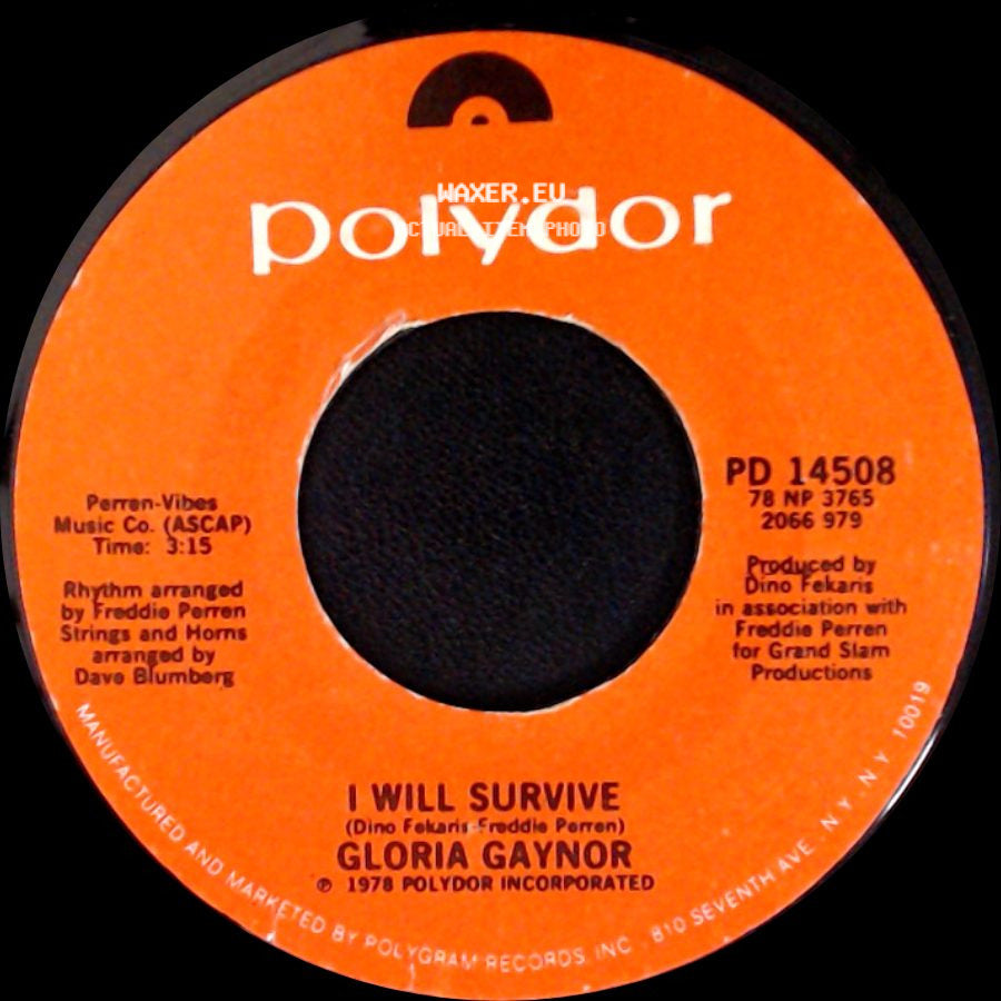Gloria Gaynor - I Will Survive / Substitute side A