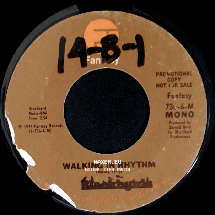 The Blackbyrds - Walking In Rhythm / Walking In Rhythm side B