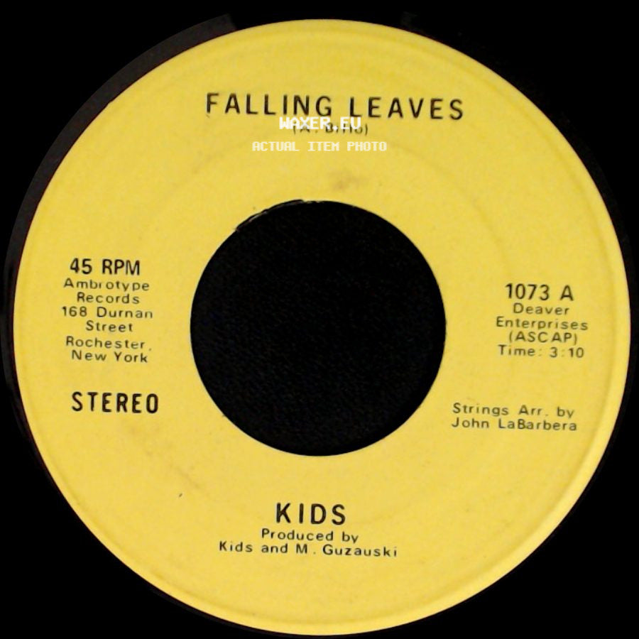 Kids - Falling Leaves / Fifi side A