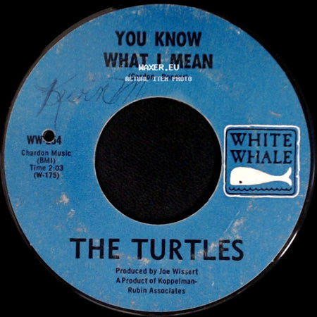 The Turtles - Rugs Of Woods & Flowers / You Know What I Mean side B