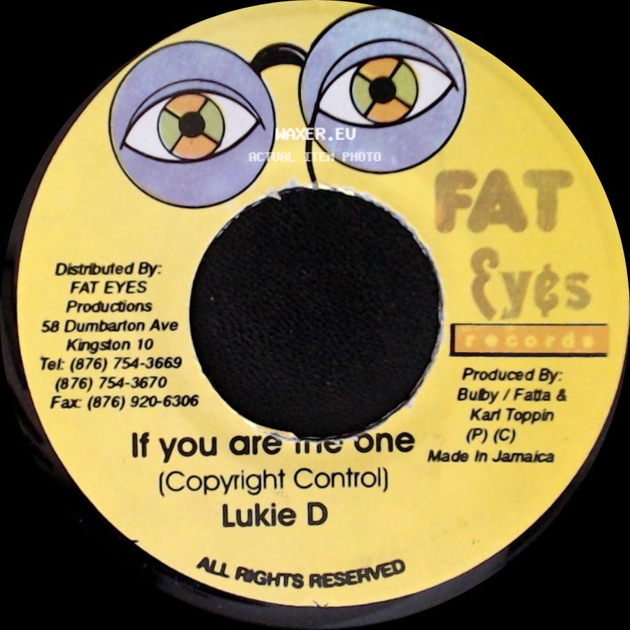 Lukie D - Version / If You Are The One (Copyright Control) side B