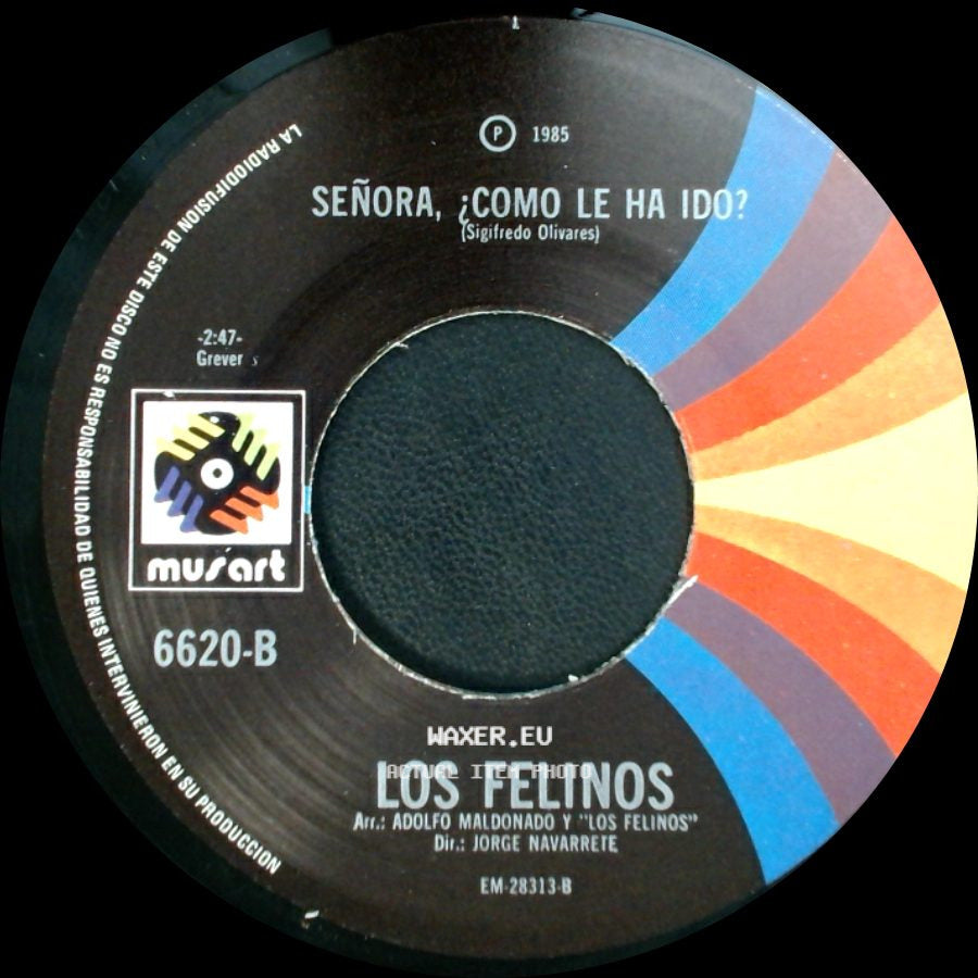 Los Felinos - Señora, ¿Como Le Ha Ido? / El Crucero side A