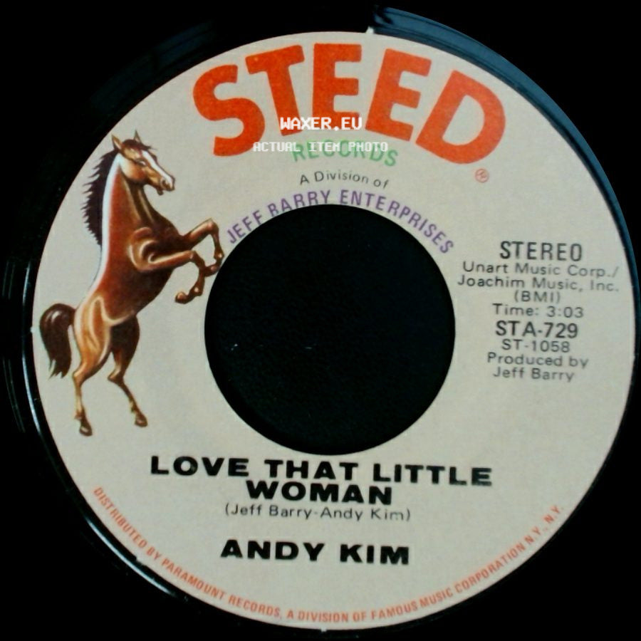 Andy Kim - Love That Little Woman / Be My Baby side A