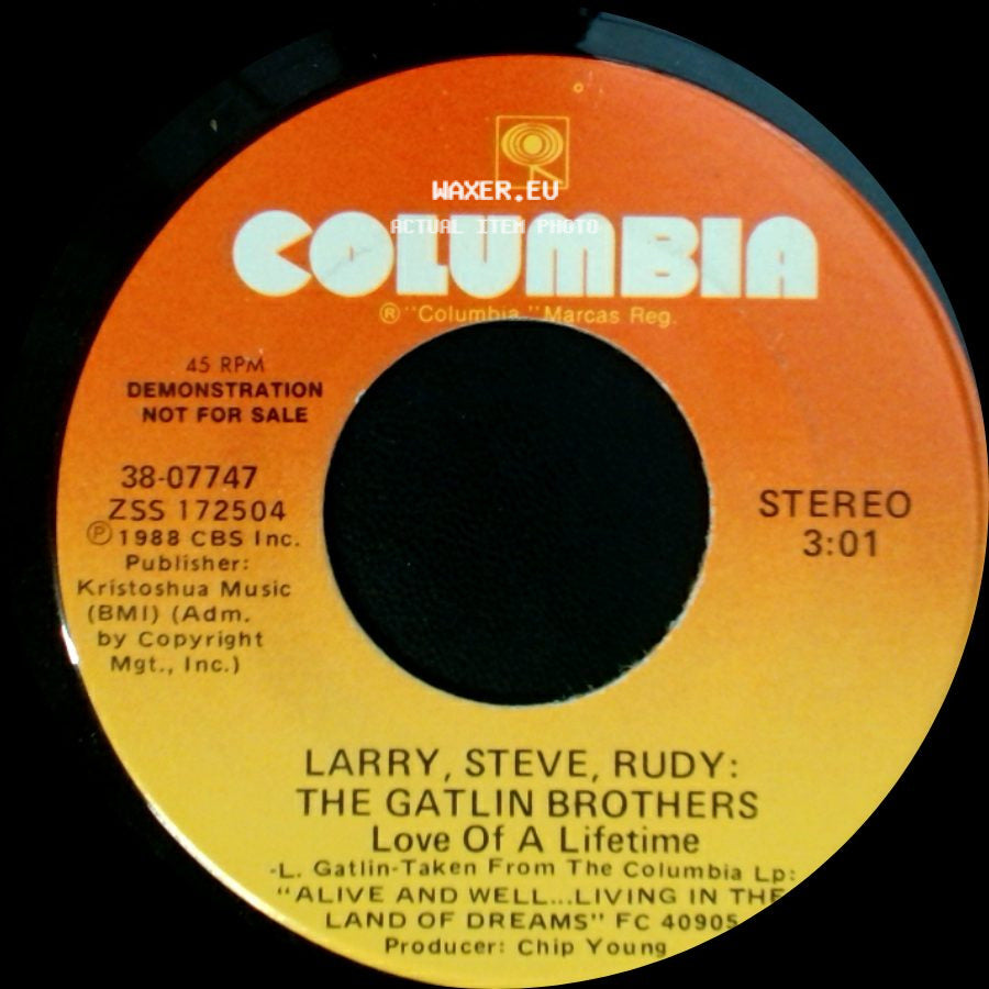 Larry, Steve, Rudy: The Gatlin Brothers - Love Of A Lifetime / Love Of A Lifetime side A