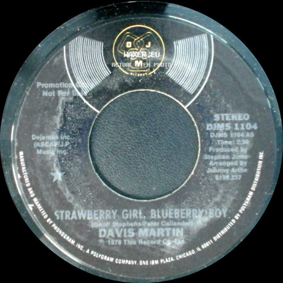 Davis Martin - Another Love Song / Strawberry Girl, Blueberry Boy side B