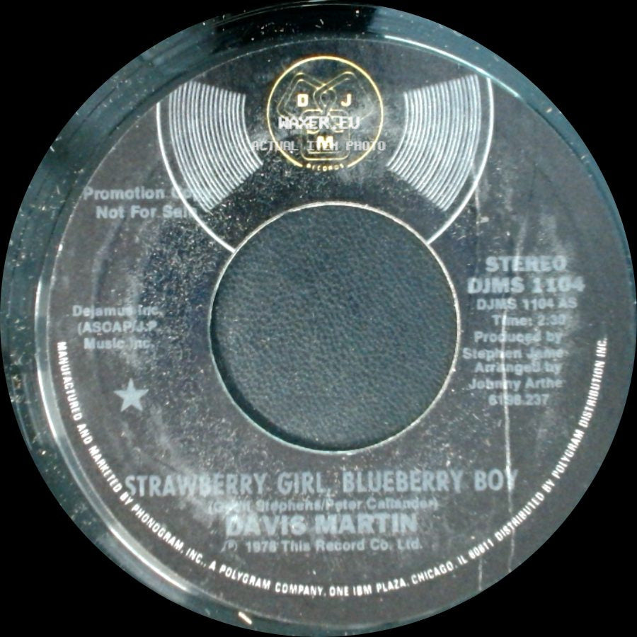 Davis Martin - Strawberry Girl Blueberry Boy / Another Love Song side A