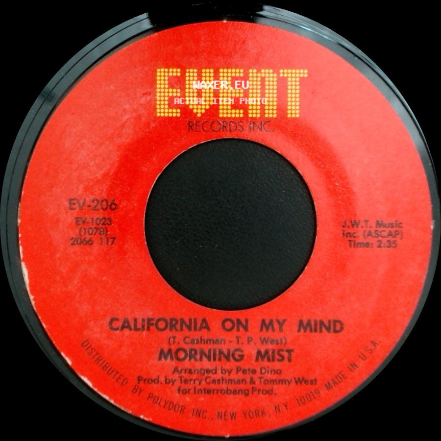 Morning Mist - All The Time It Was You / California On My Mind Morning Mist side B