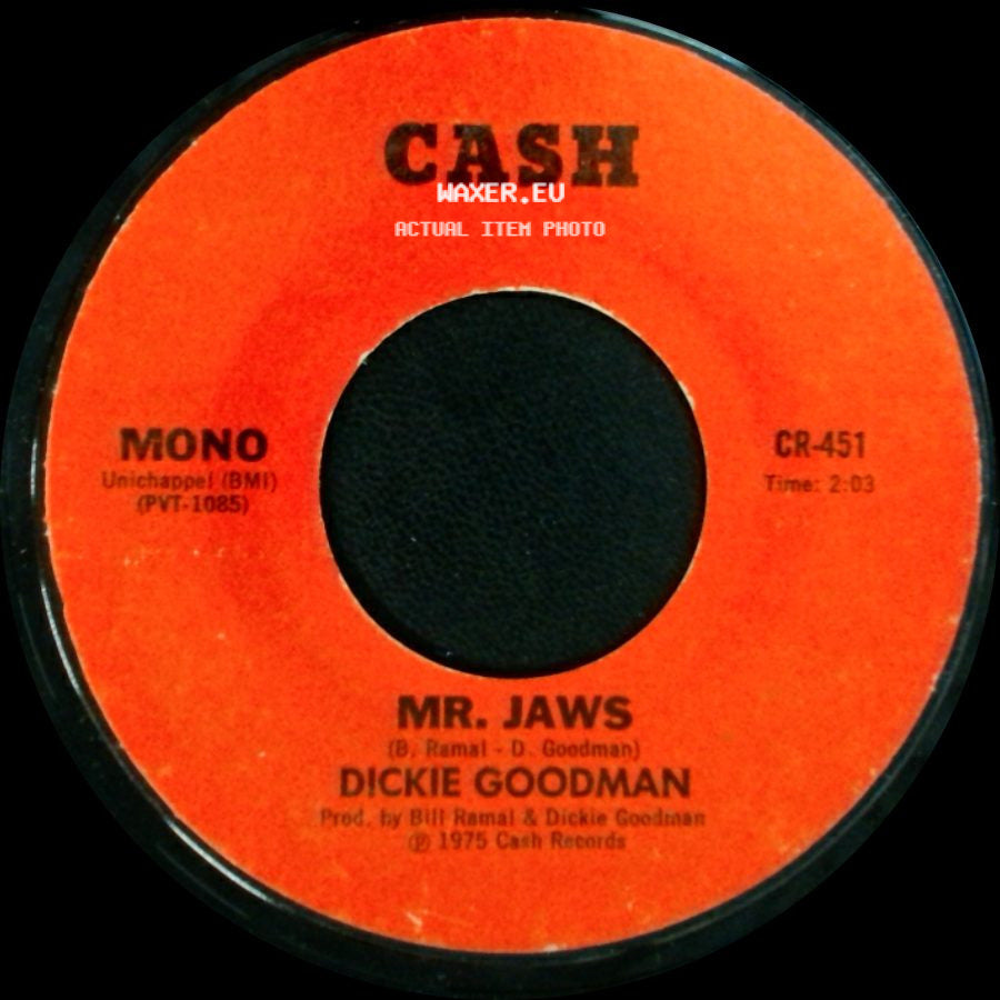 Dickie Goodman - Irv's Theme / Mr. Jaws side B