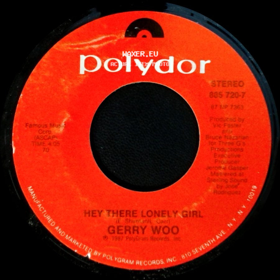 Gerry Woo - Get It Tonight / Hey There Lonely Girl side B
