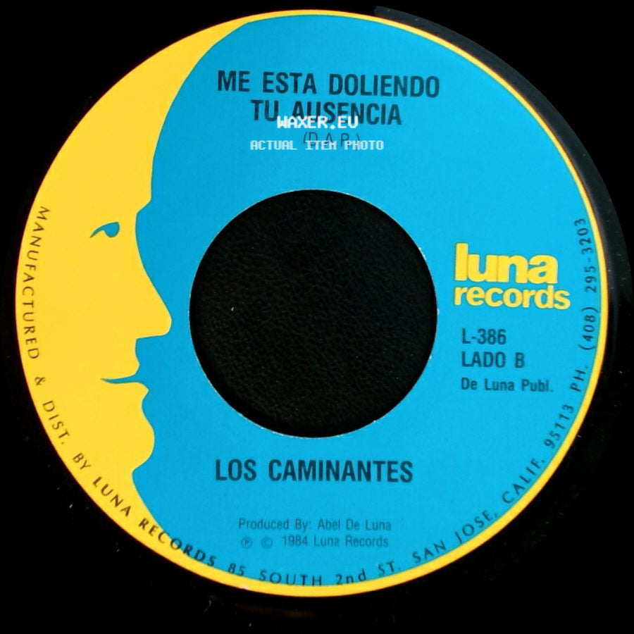 Los Caminantes - Cuando Dos Almas / Me Esta Doliendo Tu Ausencia side B