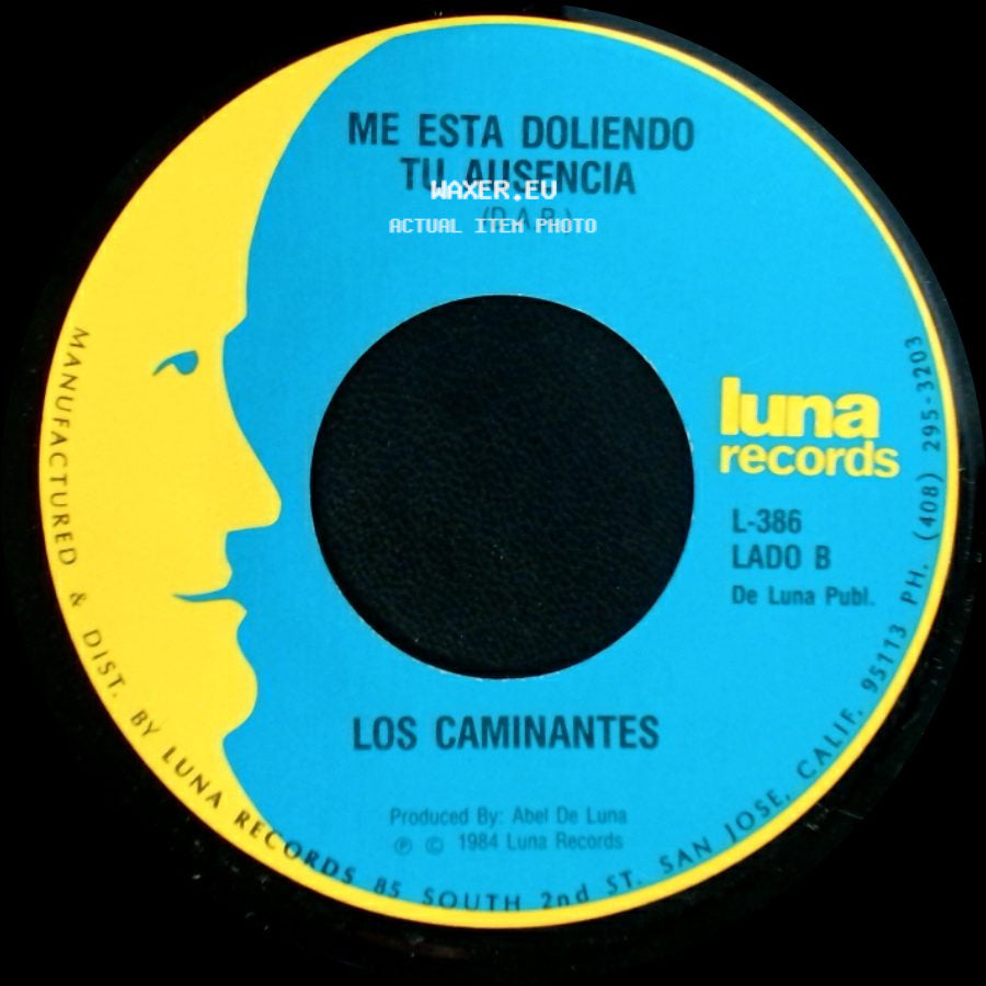 Los Caminantes - Cuando Dos Almas / Me Esta Doliendo Tu Ausencia side B