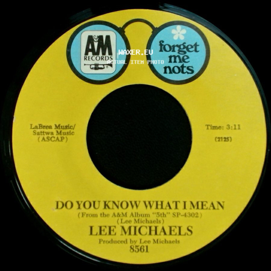 Lee Michaels - Can I Get A Witness / Do You Know What I Mean side B