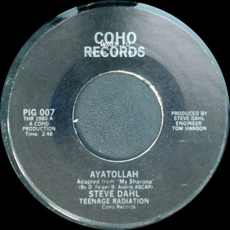 Steve Dahl / Steve Dahl Teenage Radiation - Unhappy New Year (Bad Vibes On Parade) / Ayatollah side B
