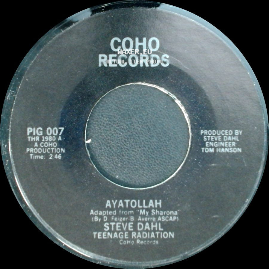Steve Dahl / Steve Dahl Teenage Radiation - Unhappy New Year (Bad Vibes On Parade) / Ayatollah side B