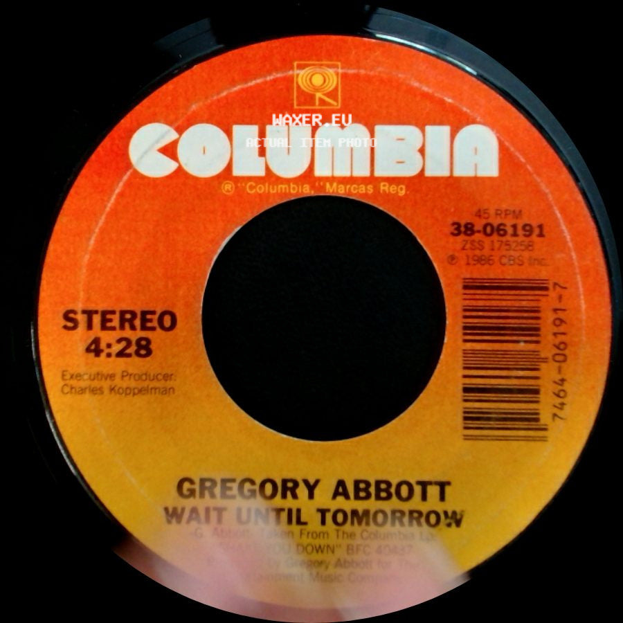 Gregory Abbott - Wait Until Tomorrow / Shake You Down side A