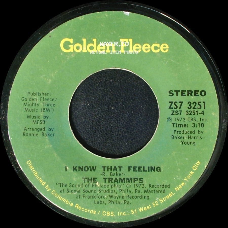 The Trammpps - Love Epidemic / I Know That Feeling side B