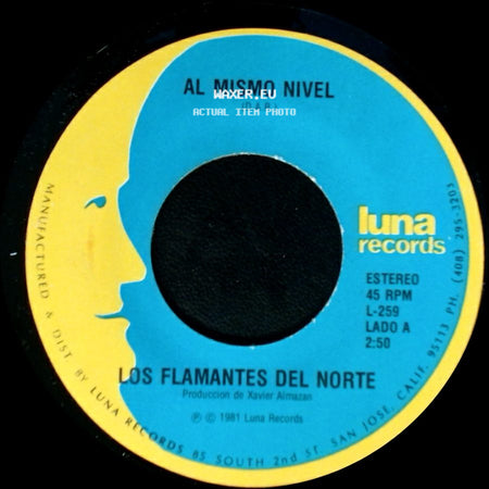 Los Flamantes Del Norte - Al Mismo Nivel / Amargo Dolor side A