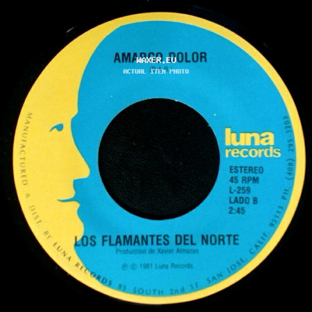 Los Flamantes Del Norte - Al Mismo Nivel / Amargo Dolor side B