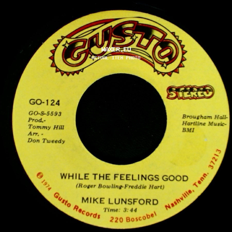 Mike Lunsford - Blanket Of The Blues / While The Feelings Good side B