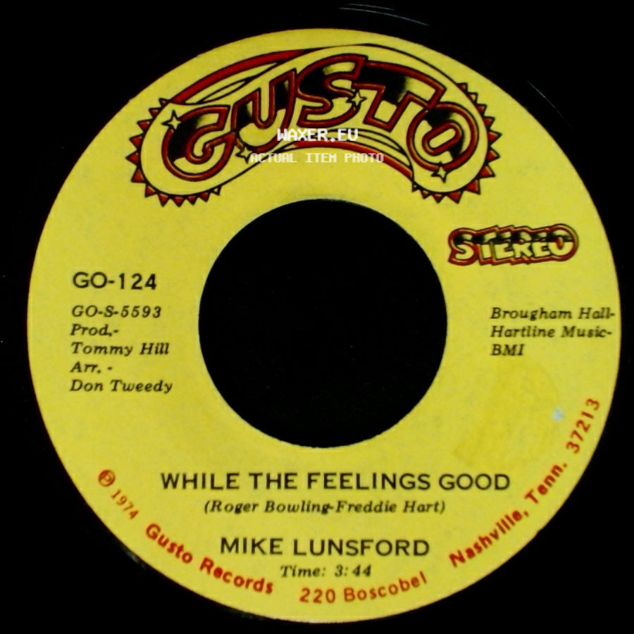 Mike Lunsford - While The Feelings Good / Blanket Of The Blues side A