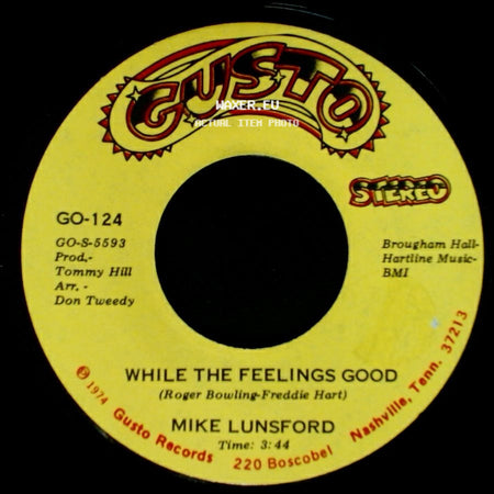 Mike Lunsford - While The Feelings Good / Blanket Of The Blues side A