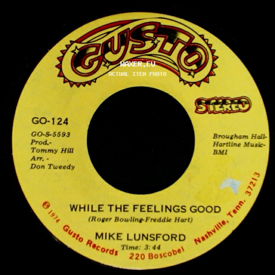 Mike Lunsford - While The Feelings Good / Blanket Of The Blues side A