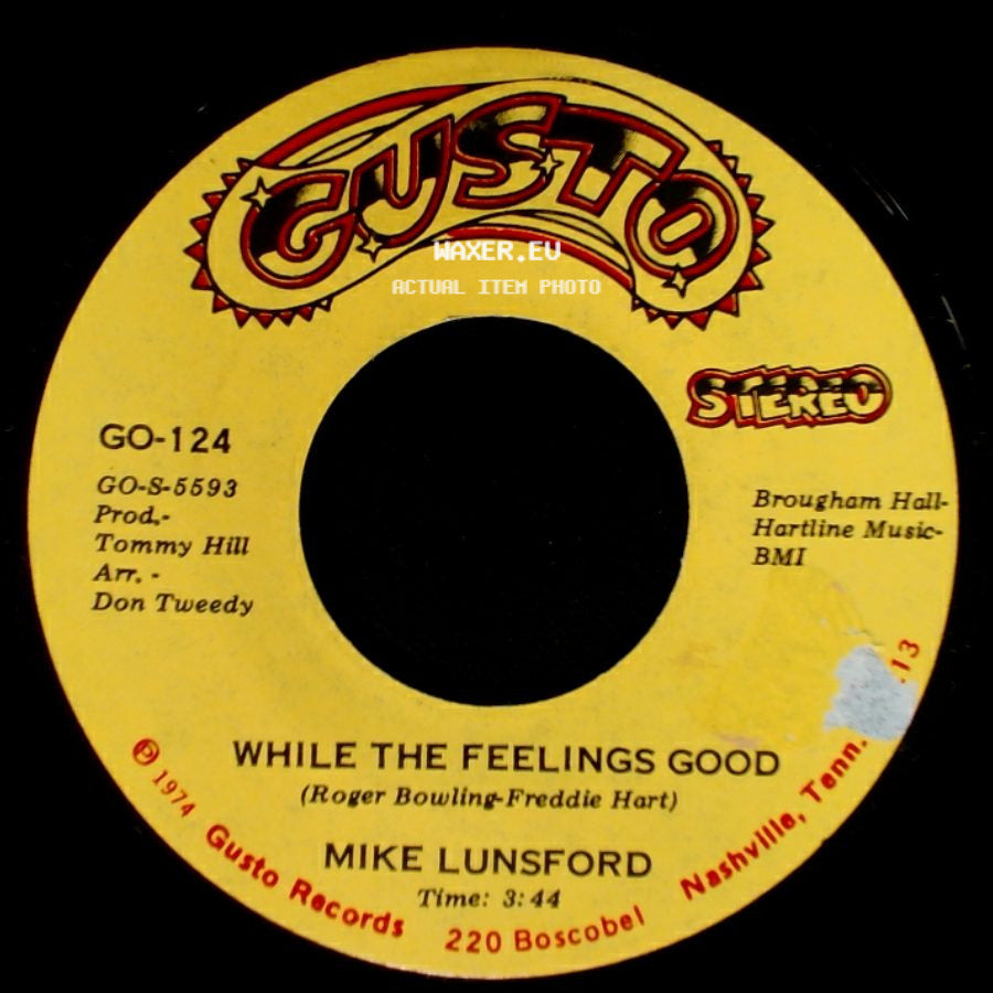 Mike Lunsford - While The Feelings Good / Blanket Of The Blues side A