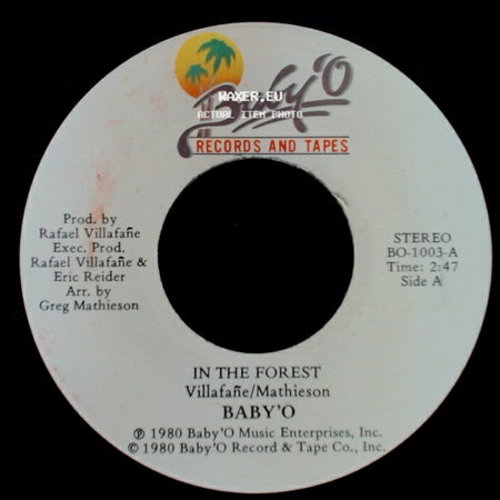 Baby'o - In The Forest / Porkchops side A
